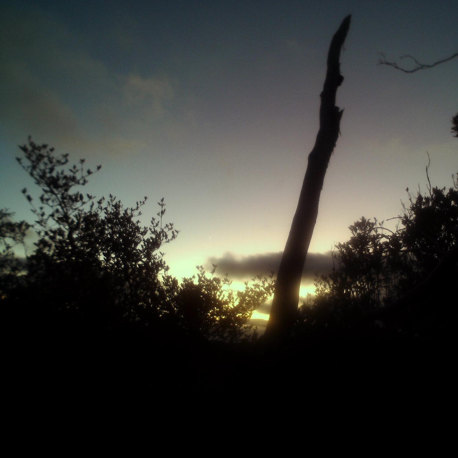 A photo captured from the webcam at the time the audio was recorded