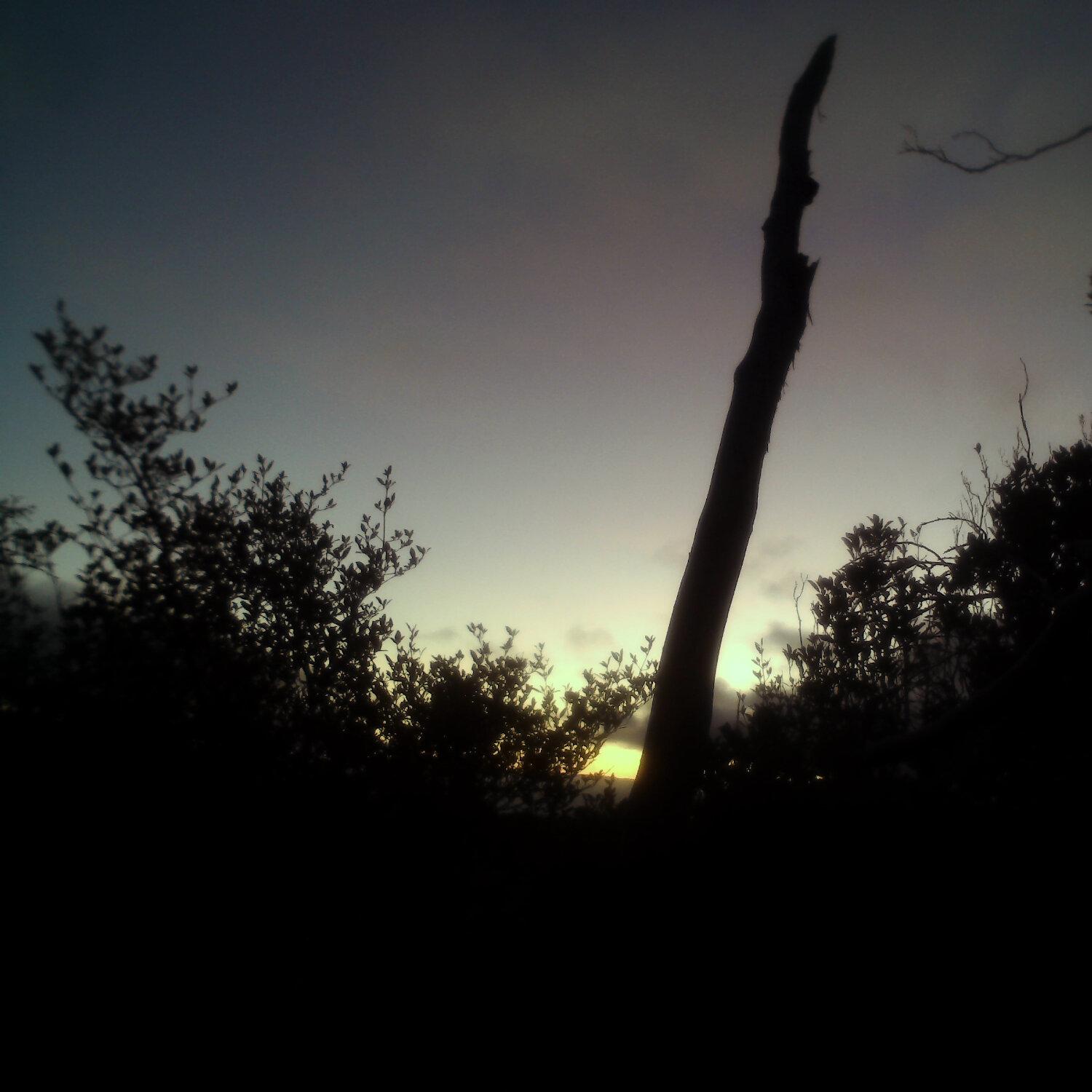 A photo captured from the webcam at the time the audio was recorded