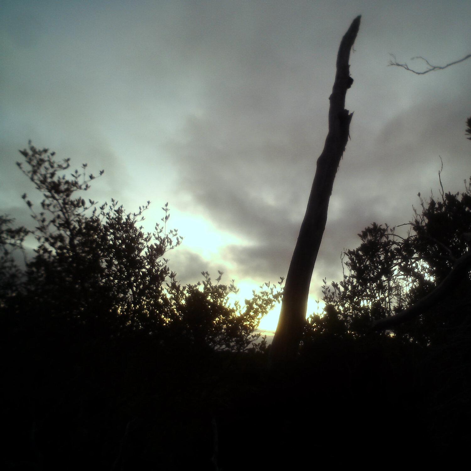 A photo captured from the webcam at the time the audio was recorded
