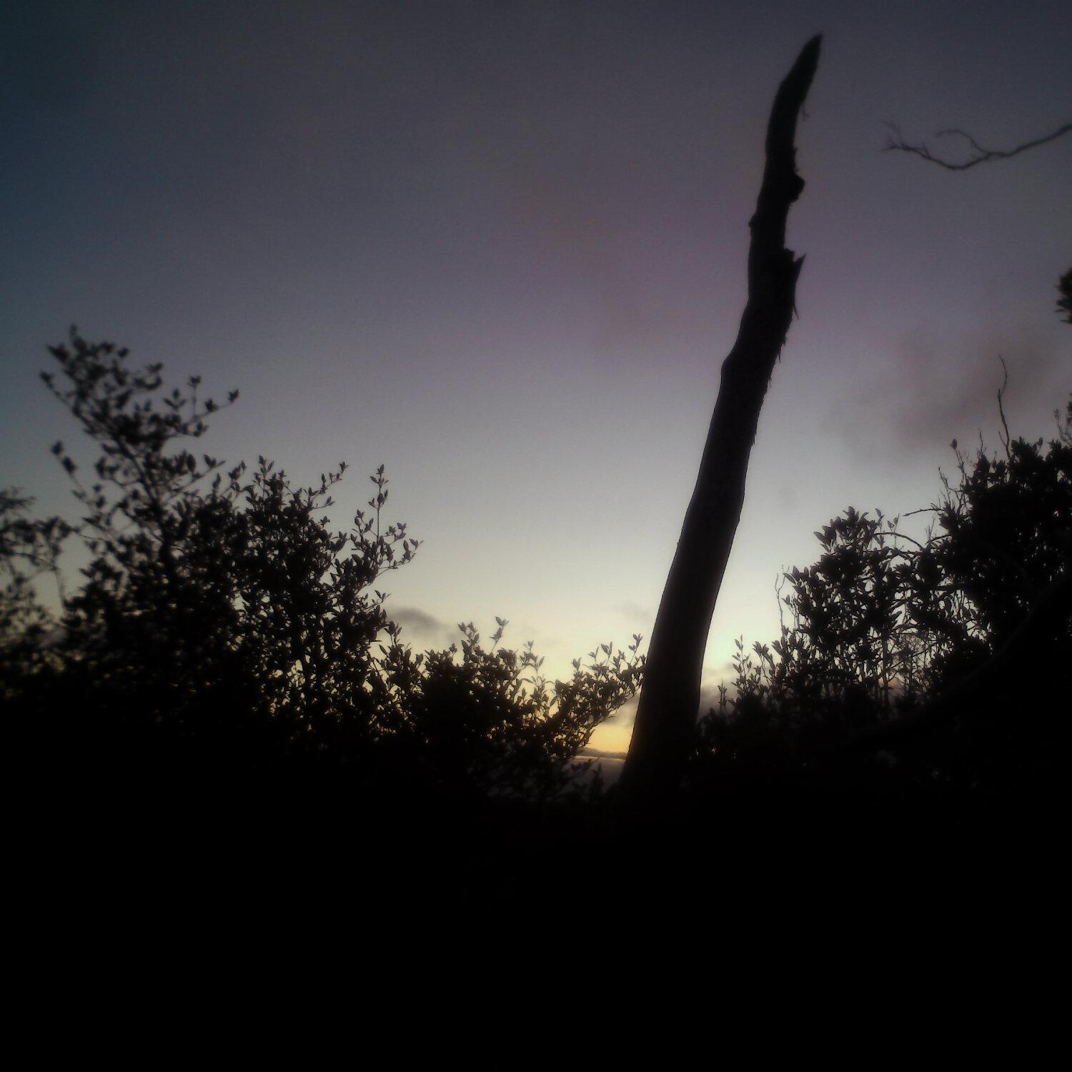 A photo captured from the webcam at the time the audio was recorded