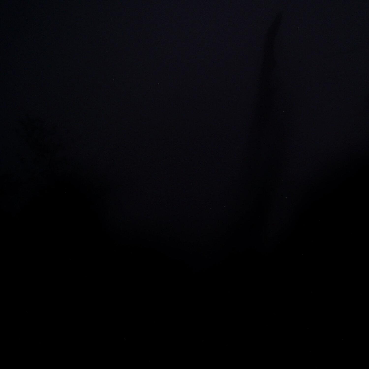 A photo captured from the webcam at the time the audio was recorded