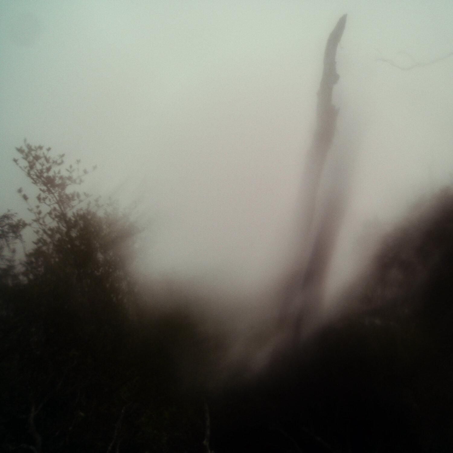 A photo captured from the webcam at the time the audio was recorded