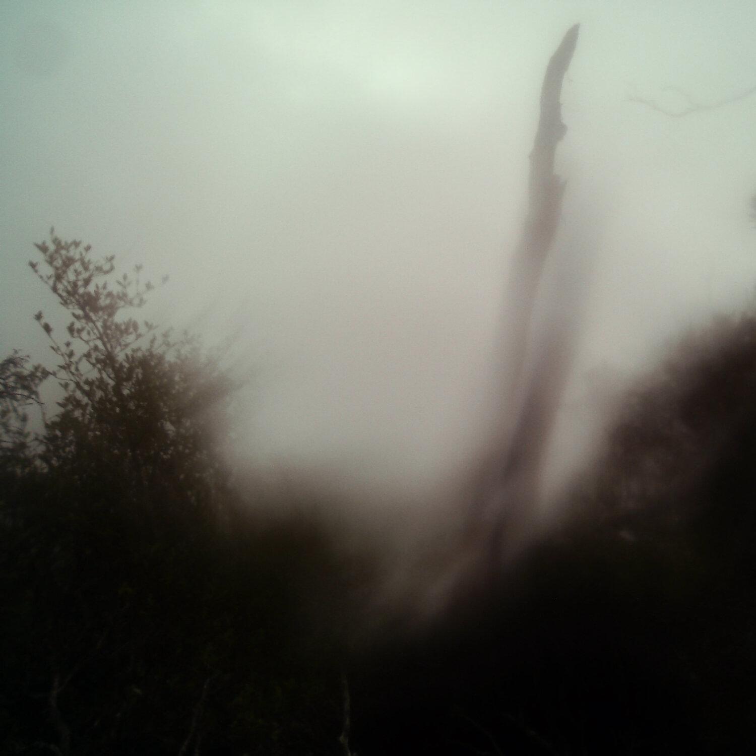 A photo captured from the webcam at the time the audio was recorded