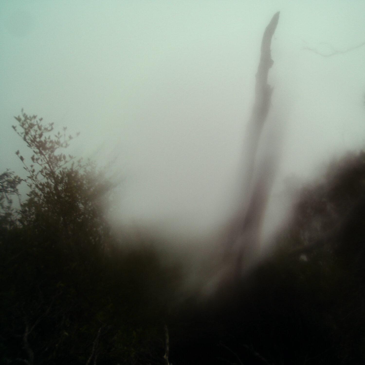 A photo captured from the webcam at the time the audio was recorded