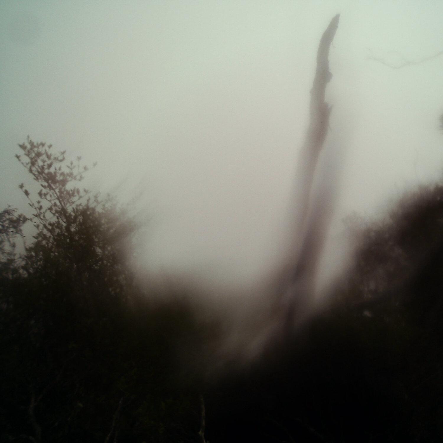 A photo captured from the webcam at the time the audio was recorded