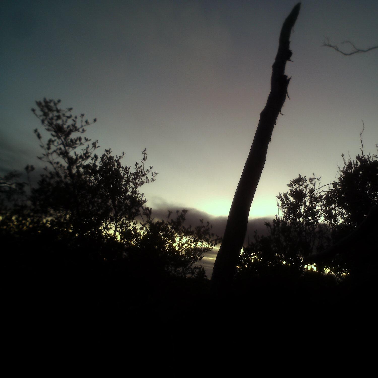 A photo captured from the webcam at the time the audio was recorded