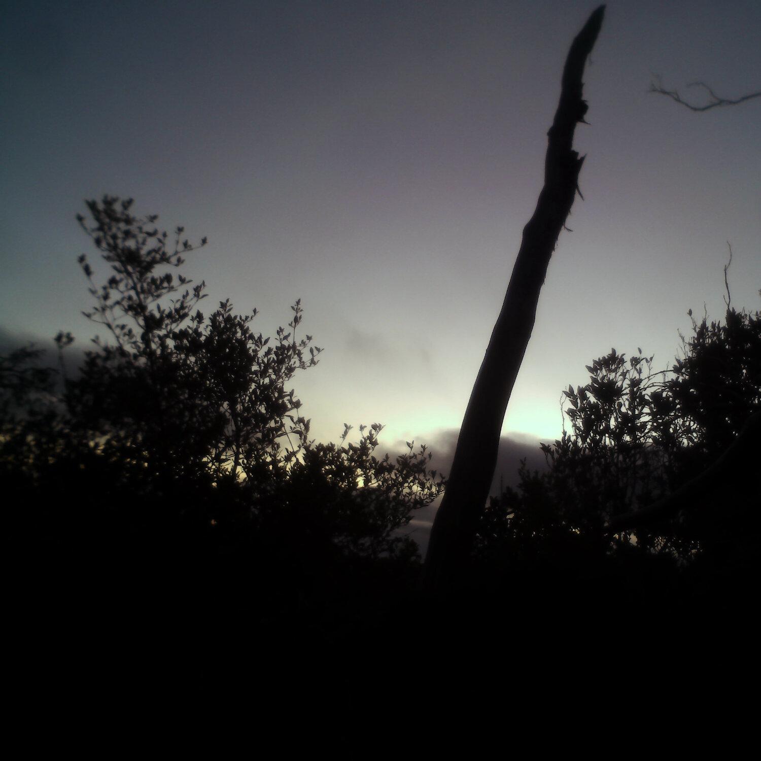 A photo captured from the webcam at the time the audio was recorded
