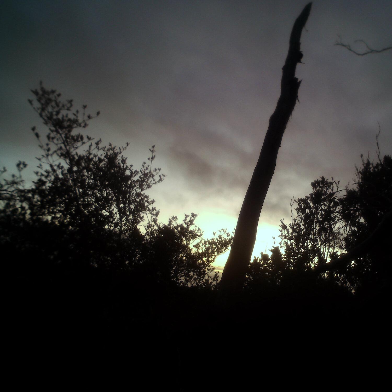 A photo captured from the webcam at the time the audio was recorded