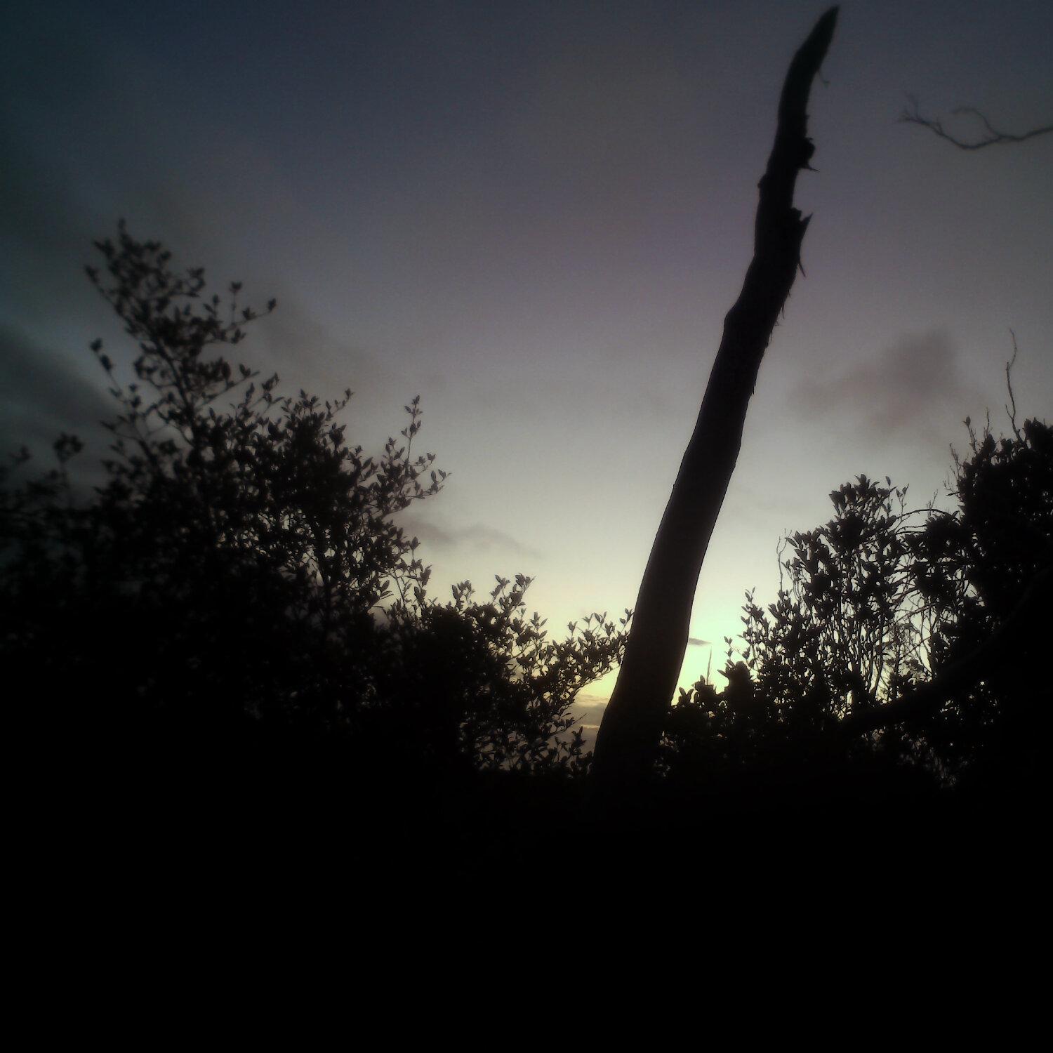 A photo captured from the webcam at the time the audio was recorded