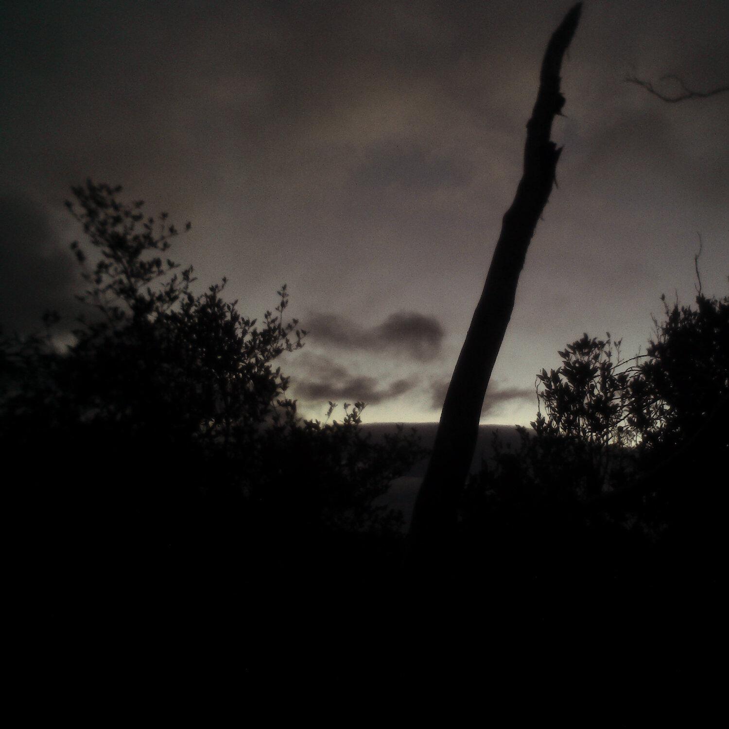A photo captured from the webcam at the time the audio was recorded