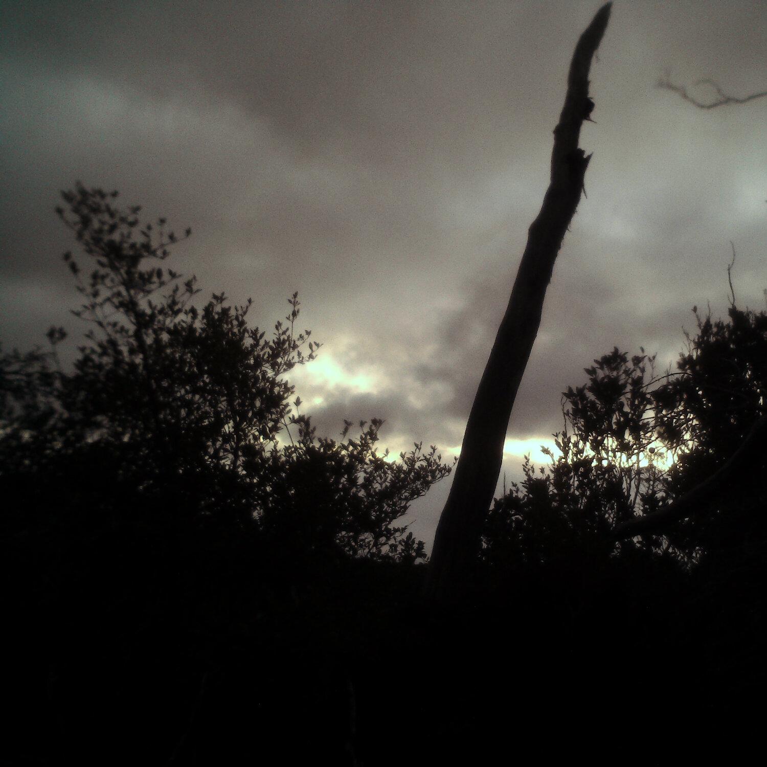 A photo captured from the webcam at the time the audio was recorded