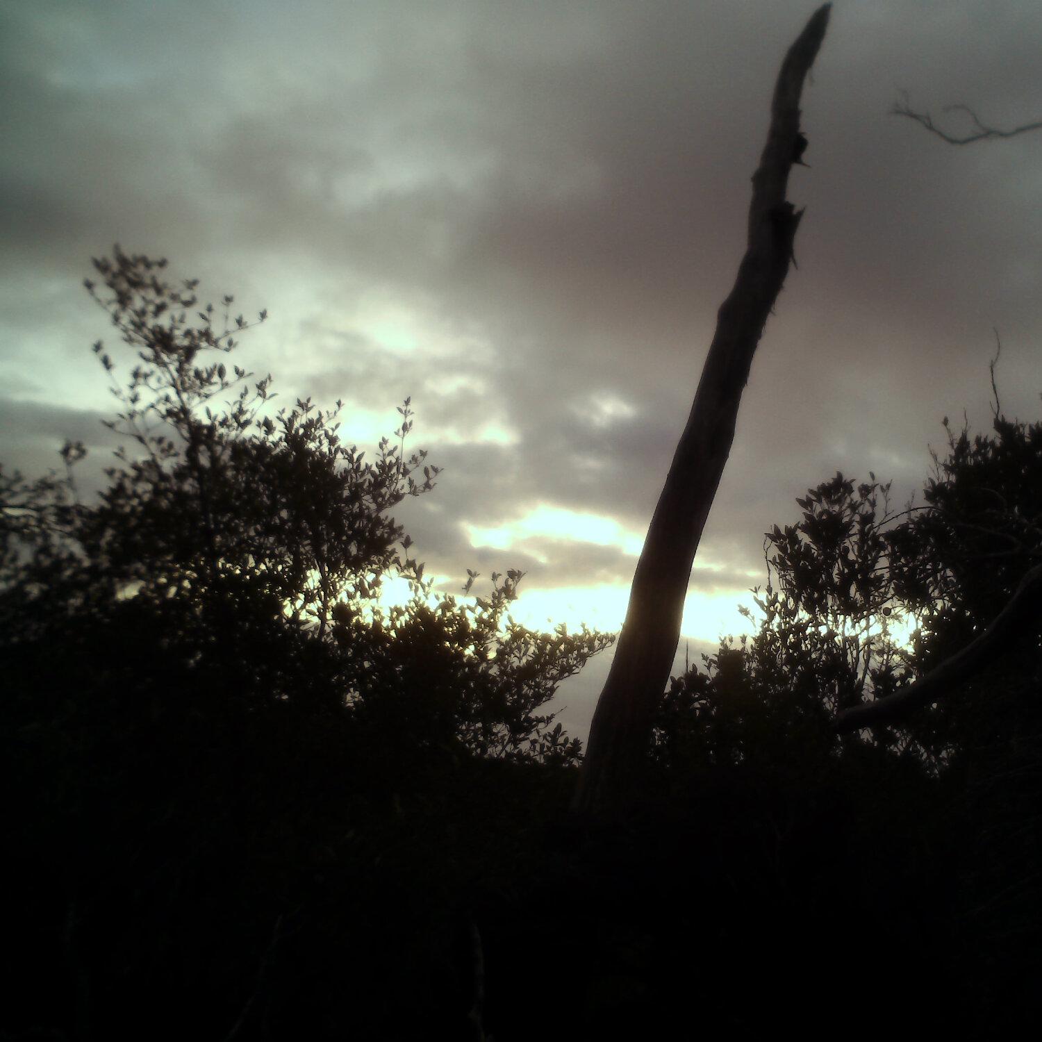 A photo captured from the webcam at the time the audio was recorded