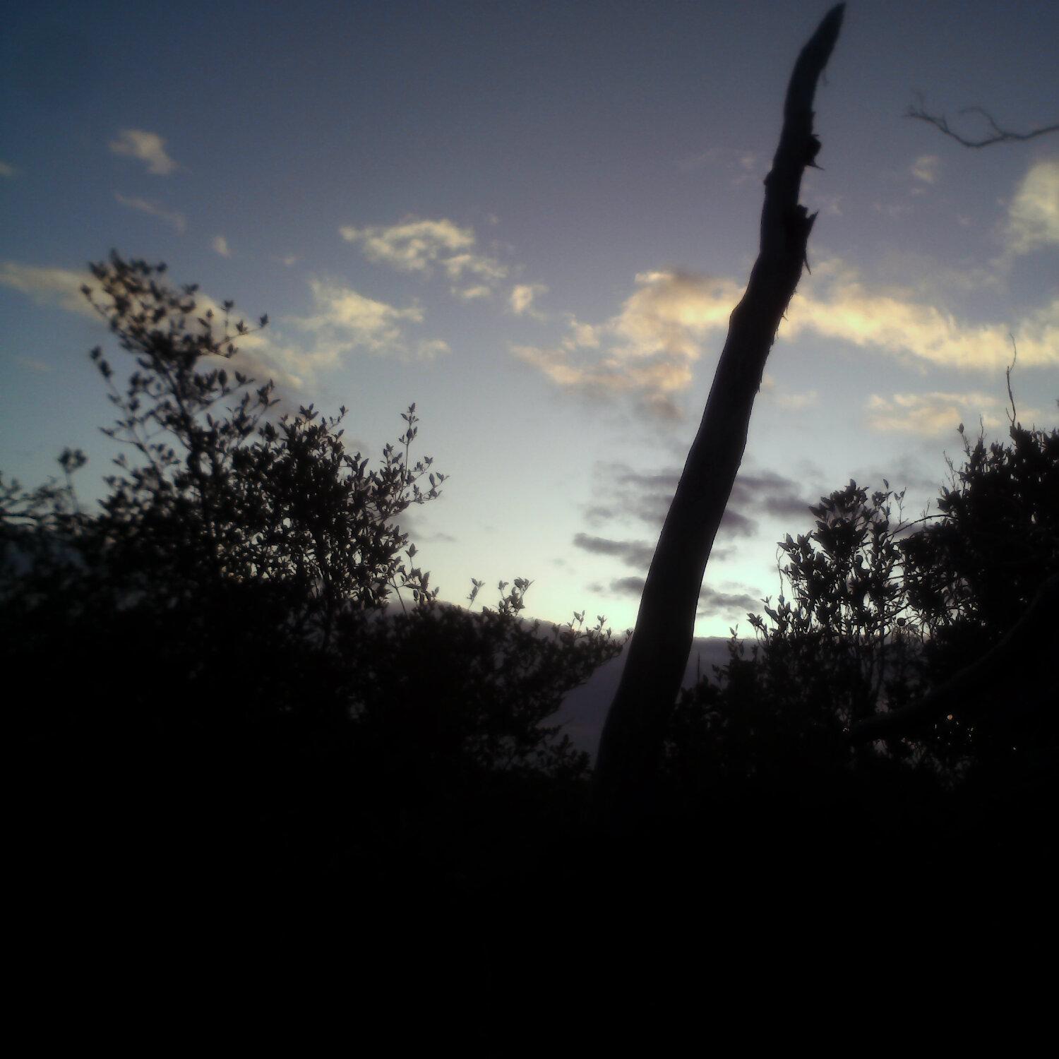 A photo captured from the webcam at the time the audio was recorded