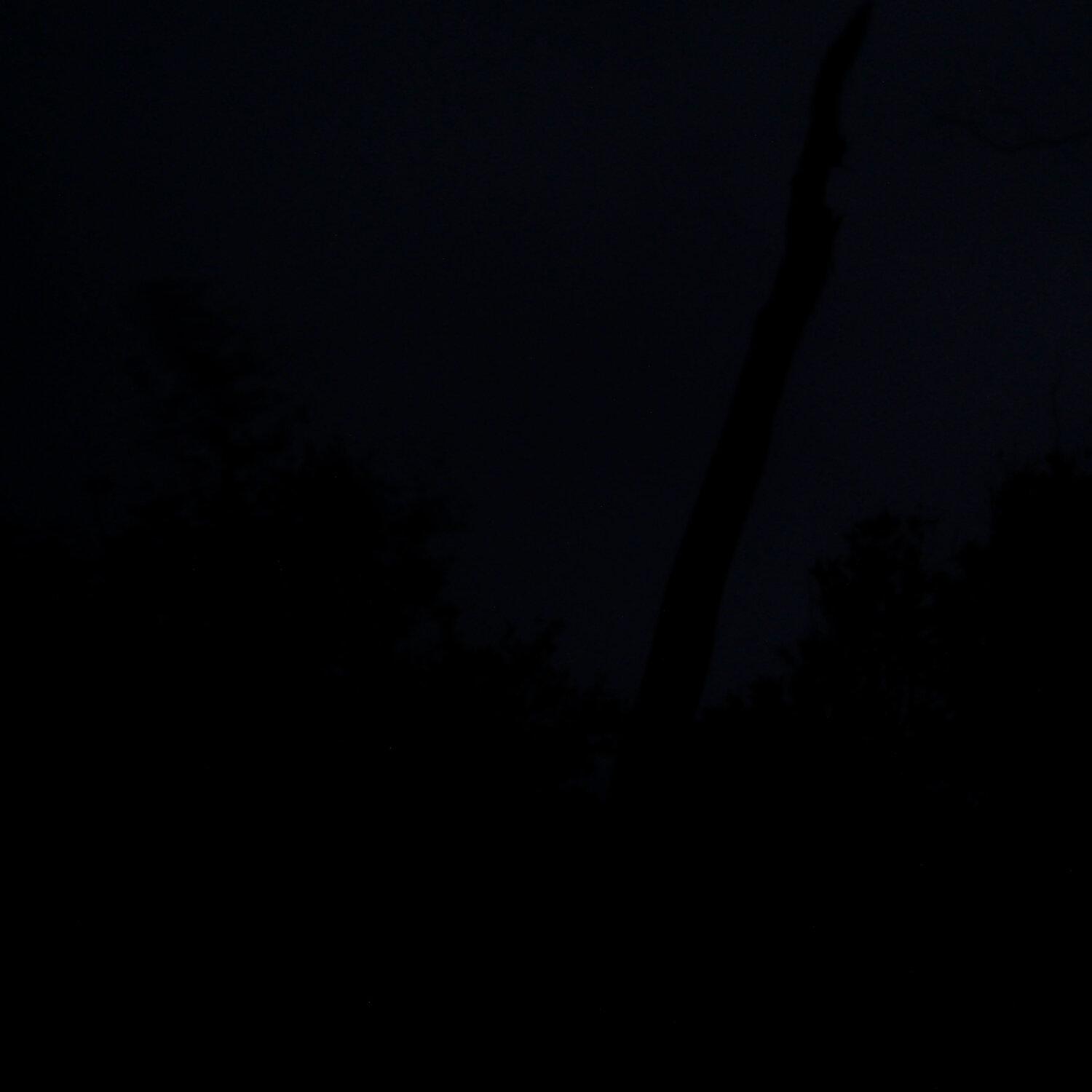 A photo captured from the webcam at the time the audio was recorded