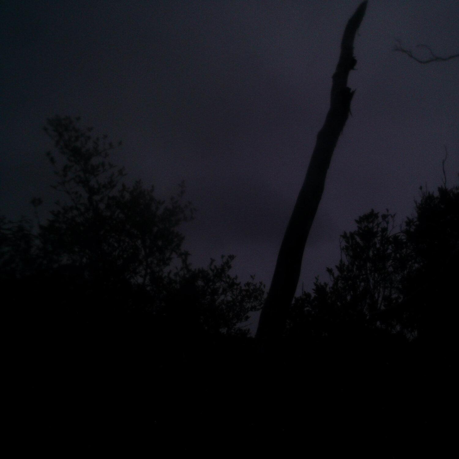 A photo captured from the webcam at the time the audio was recorded
