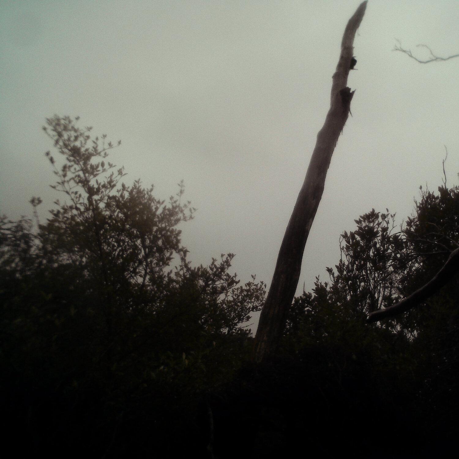 A photo captured from the webcam at the time the audio was recorded