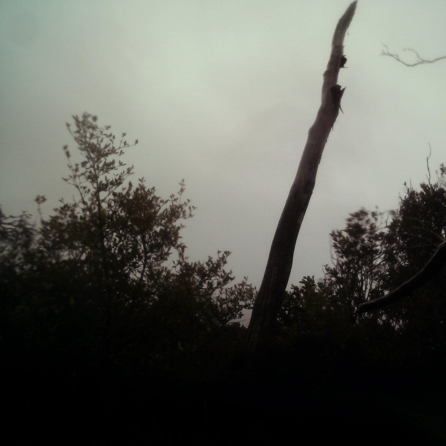 A photo captured from the webcam at the time the audio was recorded