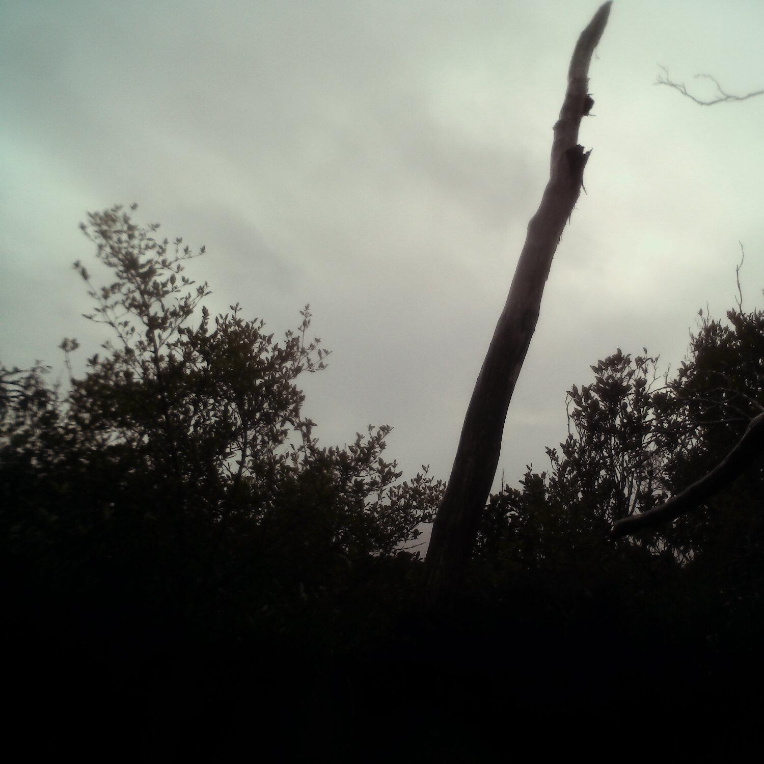 A photo captured from the webcam at the time the audio was recorded