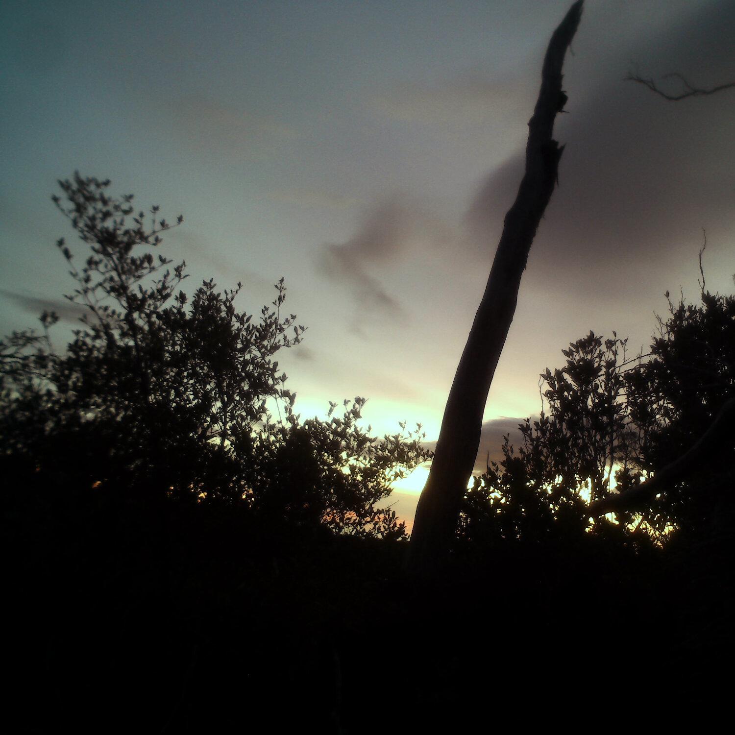 A photo captured from the webcam at the time the audio was recorded