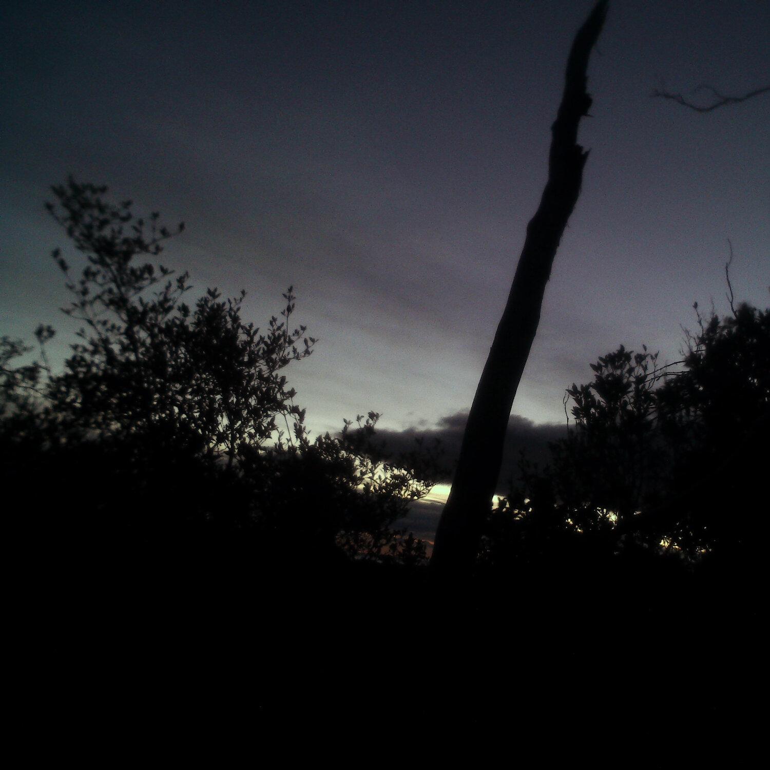 A photo captured from the webcam at the time the audio was recorded