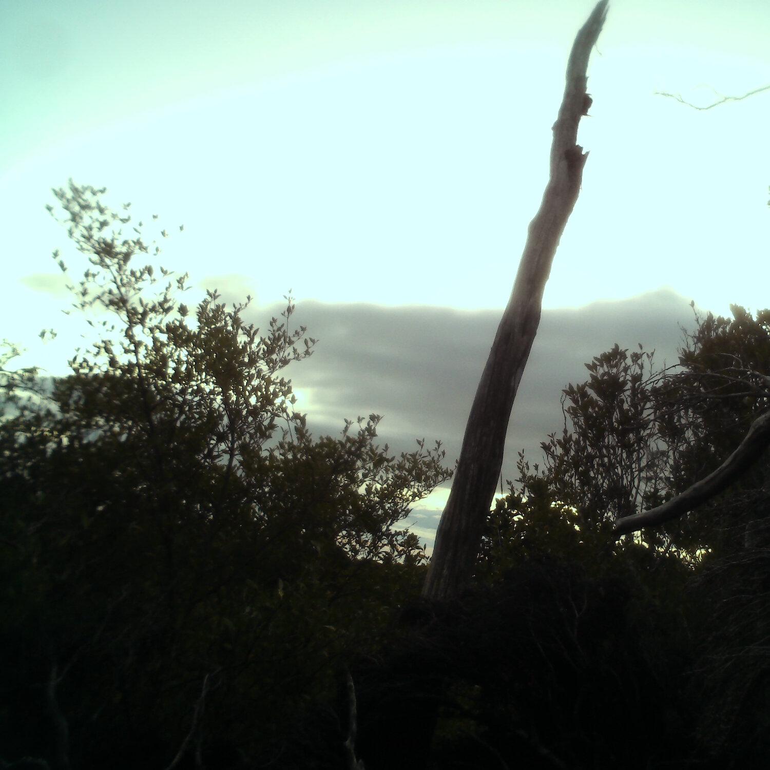 A photo captured from the webcam at the time the audio was recorded