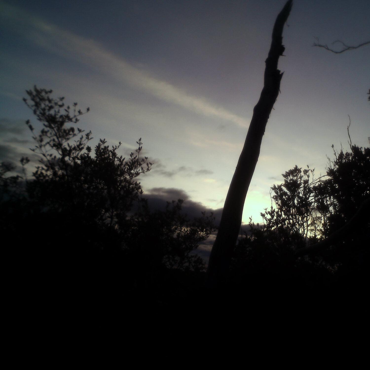 A photo captured from the webcam at the time the audio was recorded