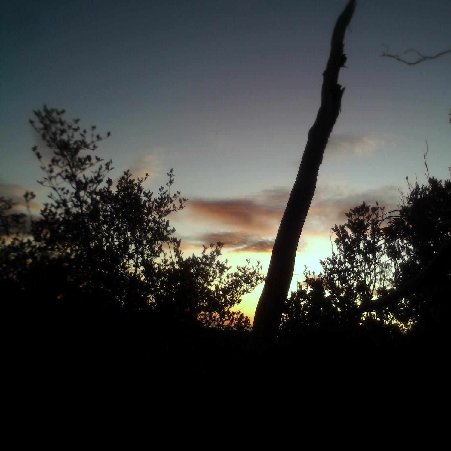 A photo captured from the webcam at the time the audio was recorded
