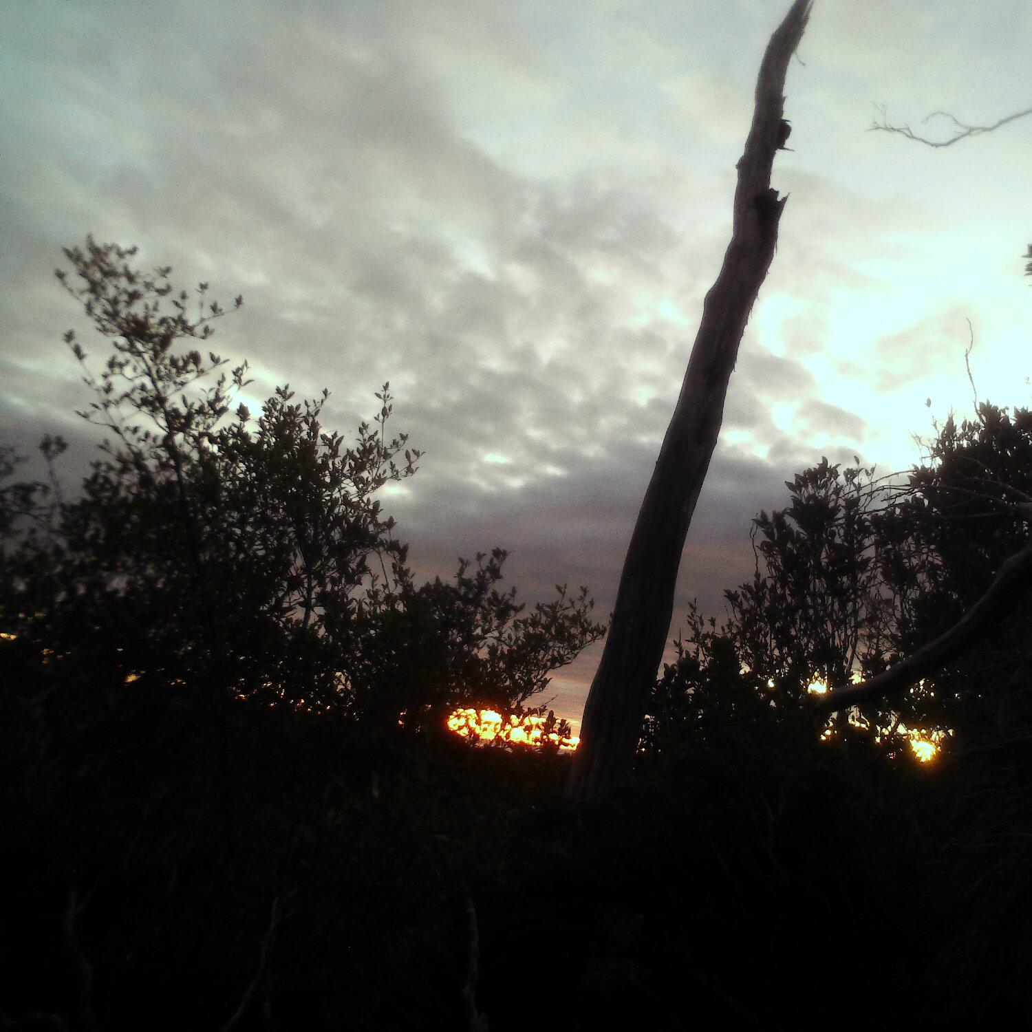 A photo captured from the webcam at the time the audio was recorded