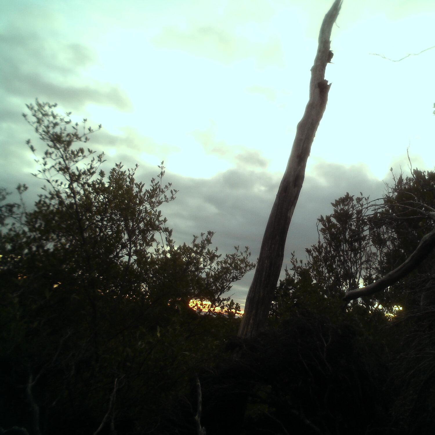 A photo captured from the webcam at the time the audio was recorded