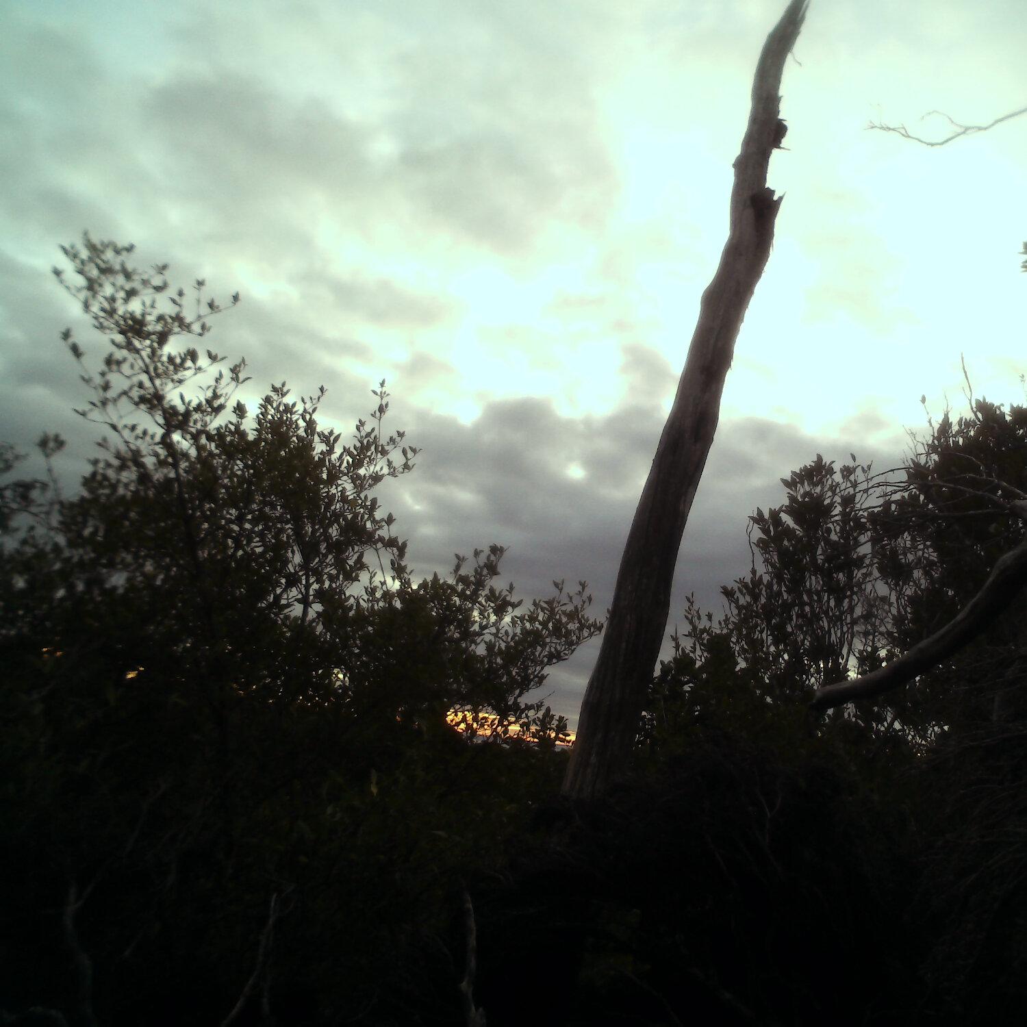 A photo captured from the webcam at the time the audio was recorded