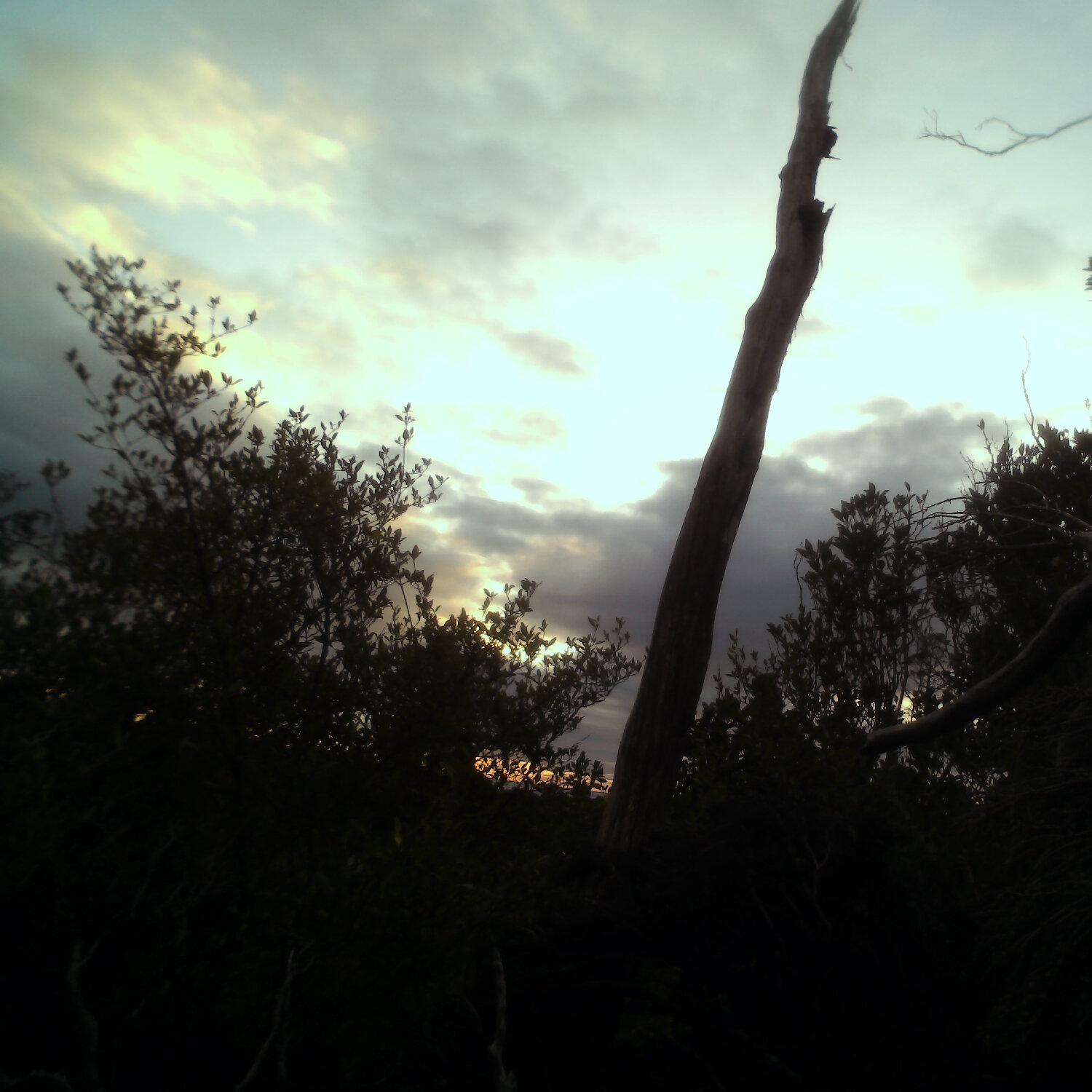 A photo captured from the webcam at the time the audio was recorded