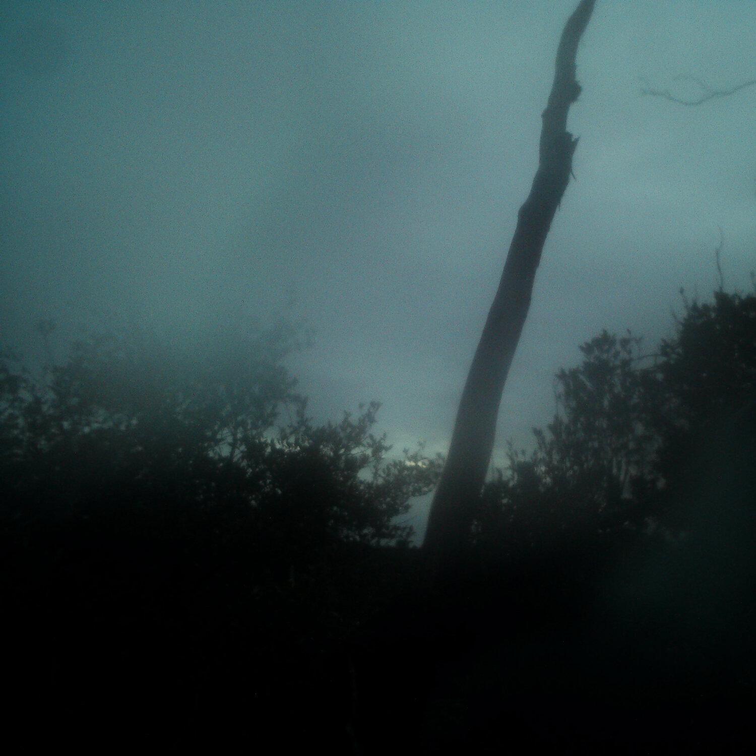 A photo captured from the webcam at the time the audio was recorded
