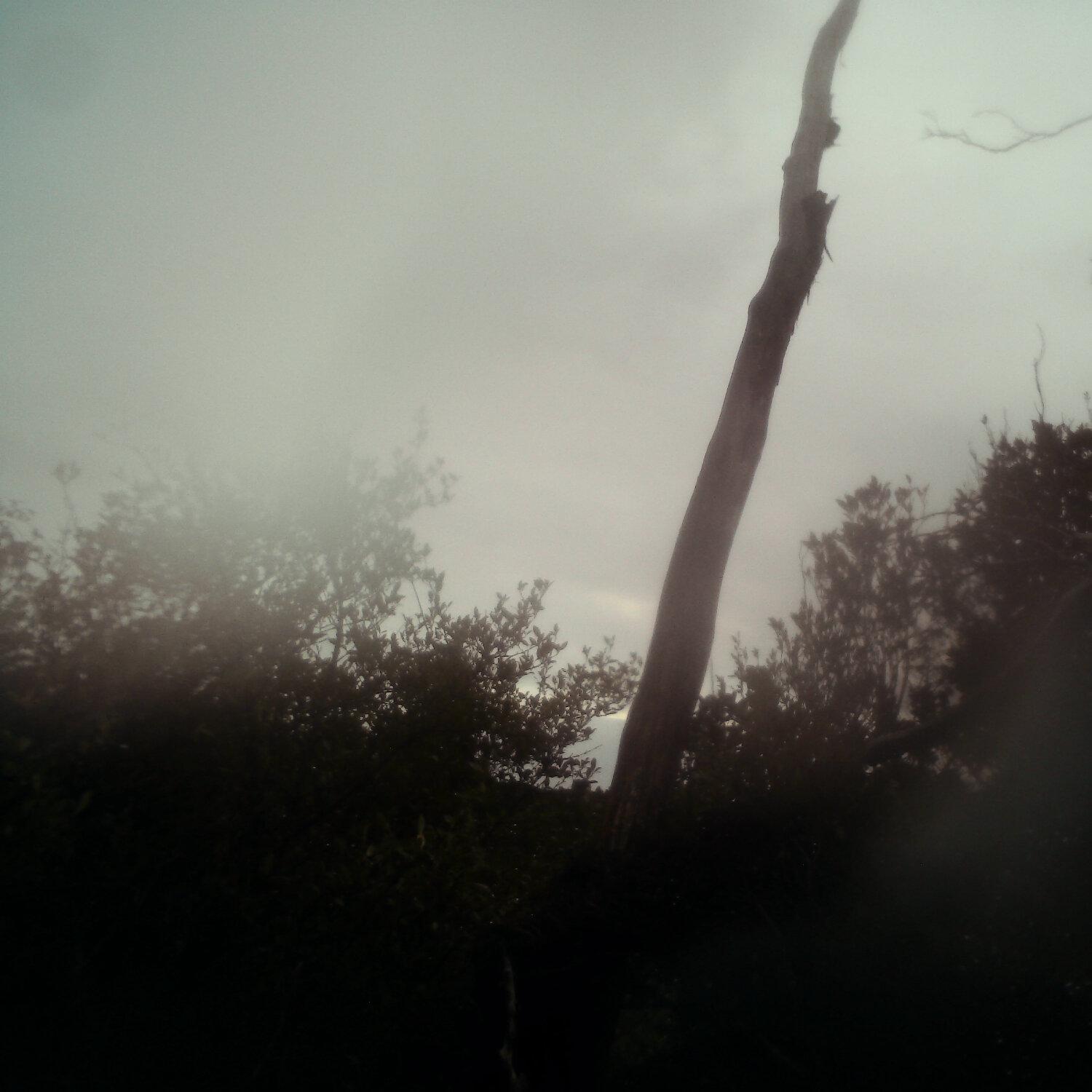 A photo captured from the webcam at the time the audio was recorded