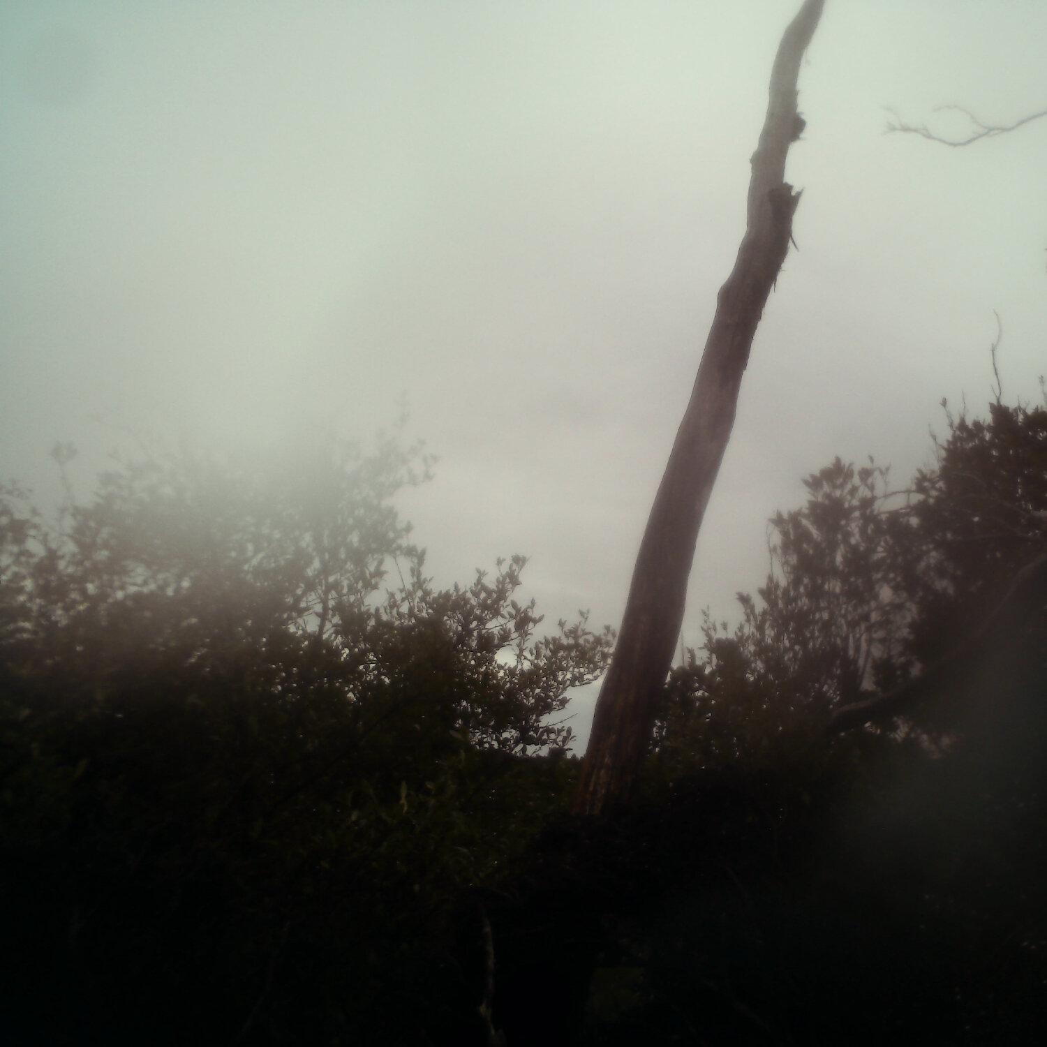 A photo captured from the webcam at the time the audio was recorded