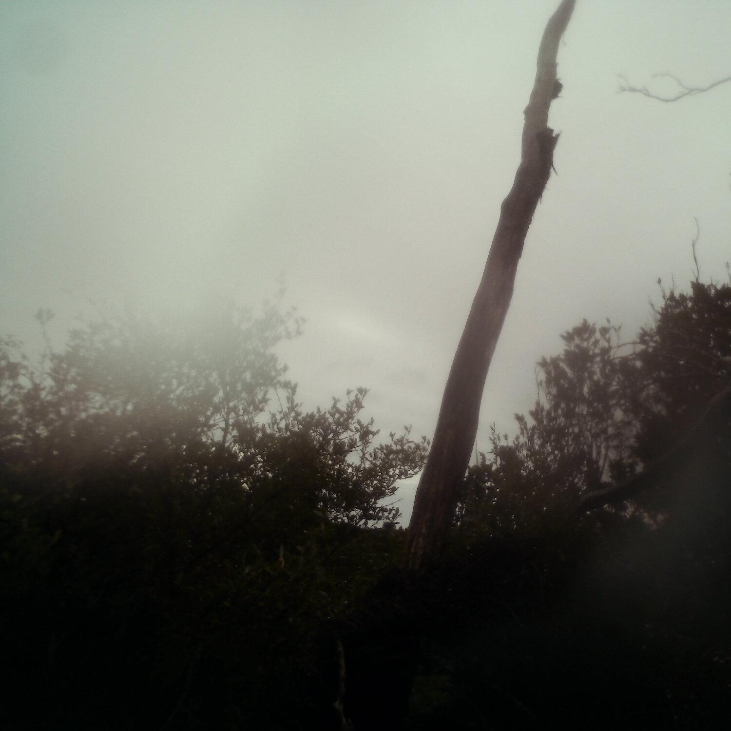 A photo captured from the webcam at the time the audio was recorded