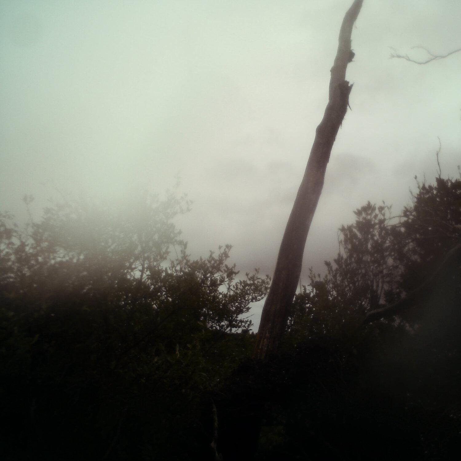 A photo captured from the webcam at the time the audio was recorded