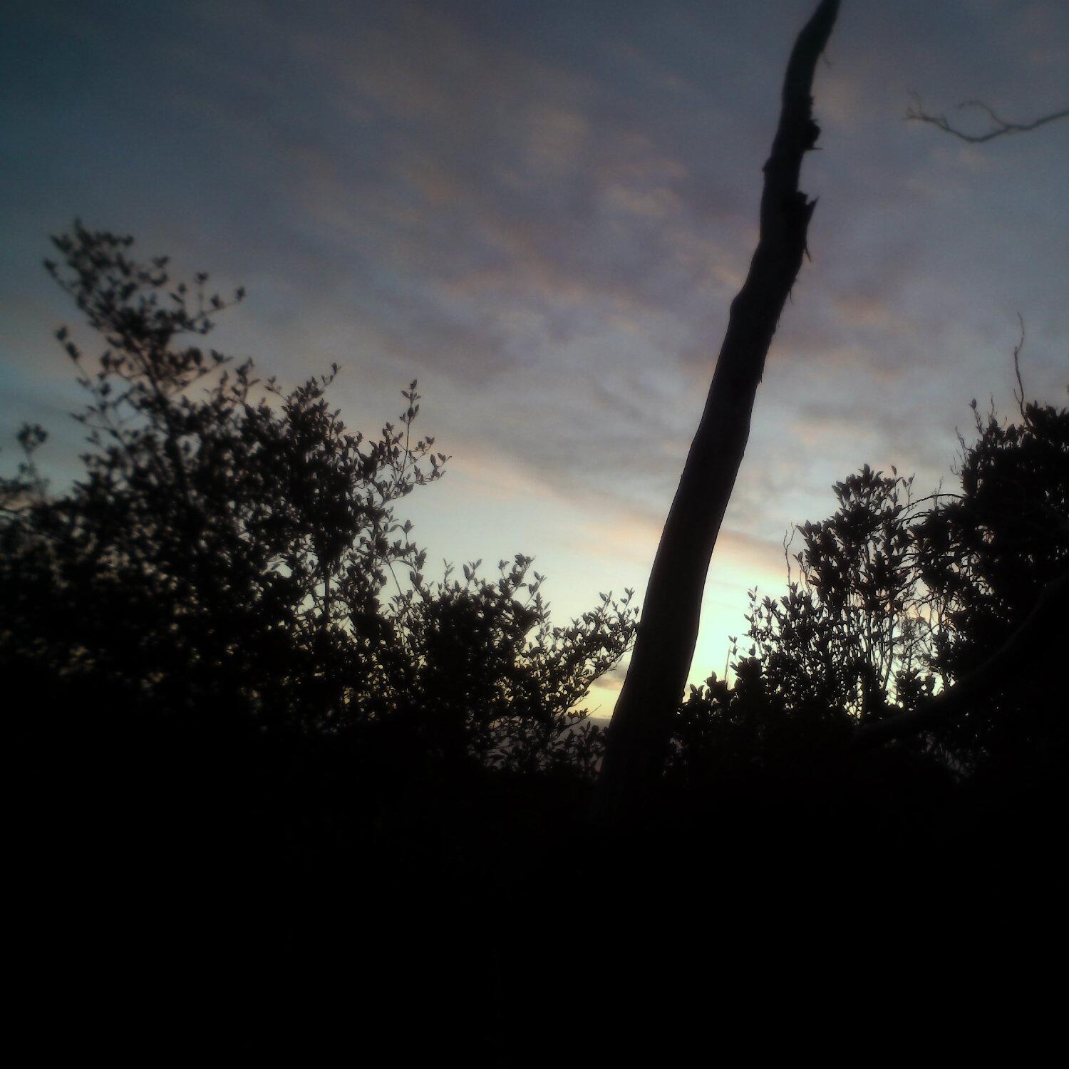 A photo captured from the webcam at the time the audio was recorded