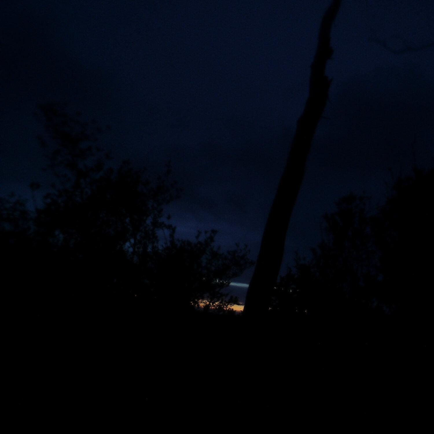 A photo captured from the webcam at the time the audio was recorded