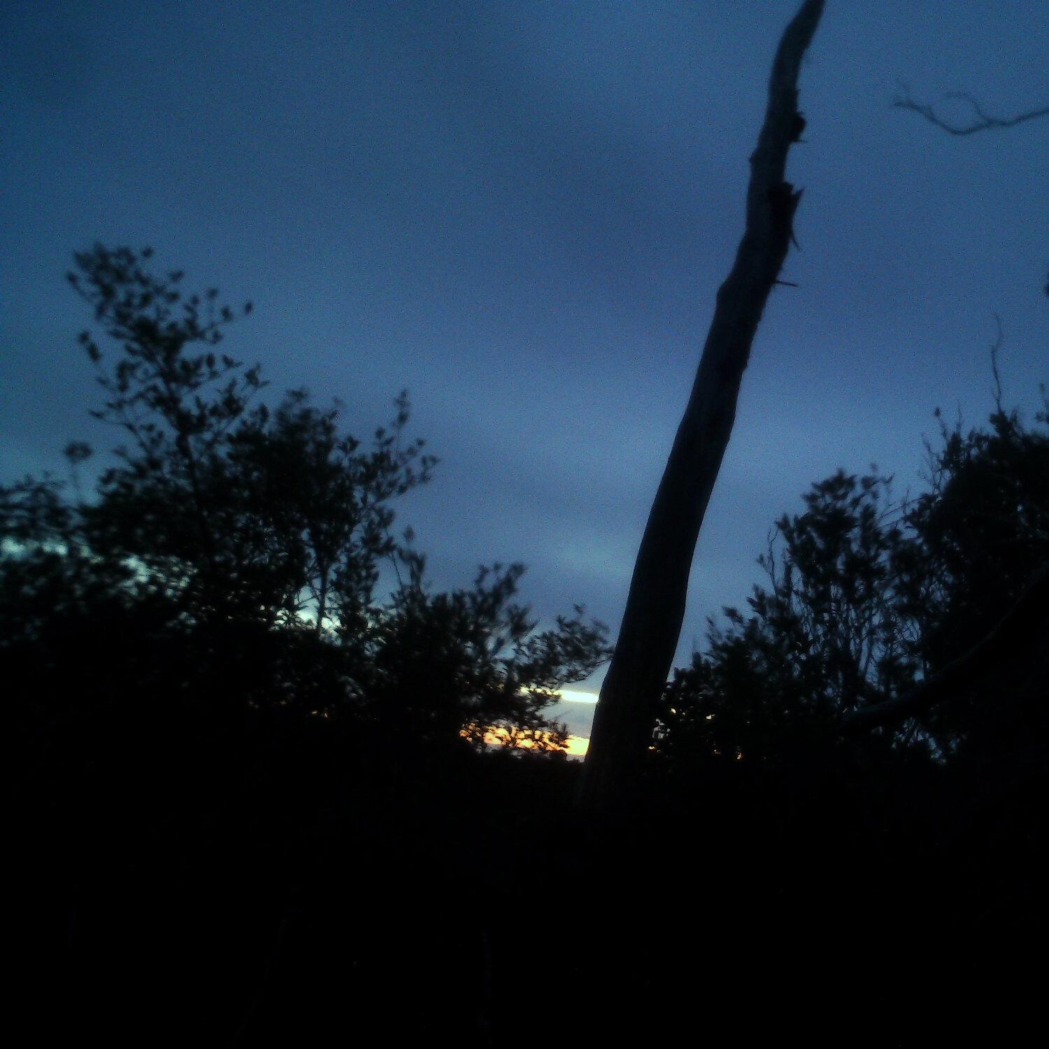 A photo captured from the webcam at the time the audio was recorded