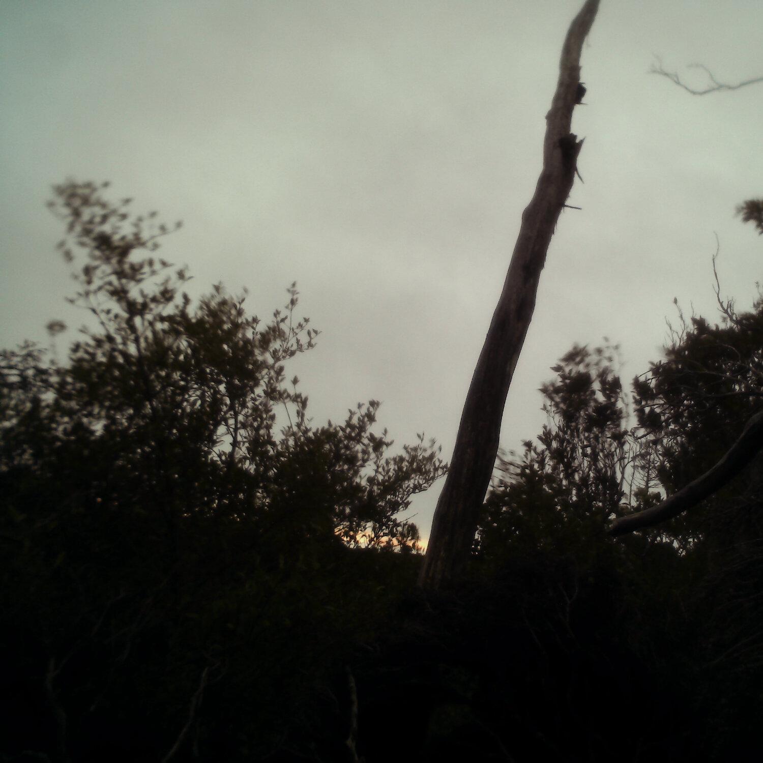 A photo captured from the webcam at the time the audio was recorded