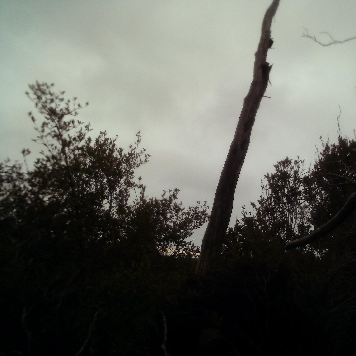 A photo captured from the webcam at the time the audio was recorded