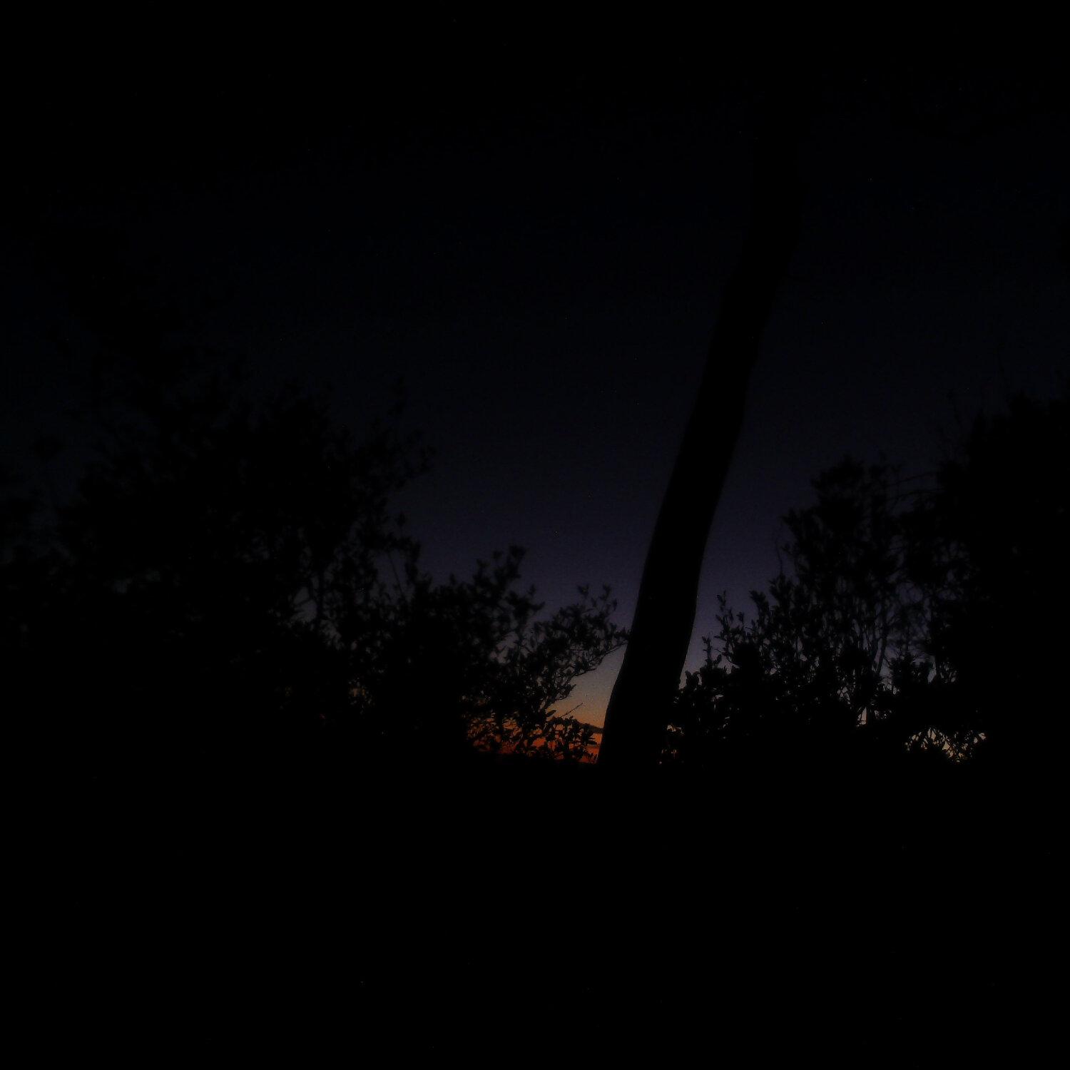 A photo captured from the webcam at the time the audio was recorded