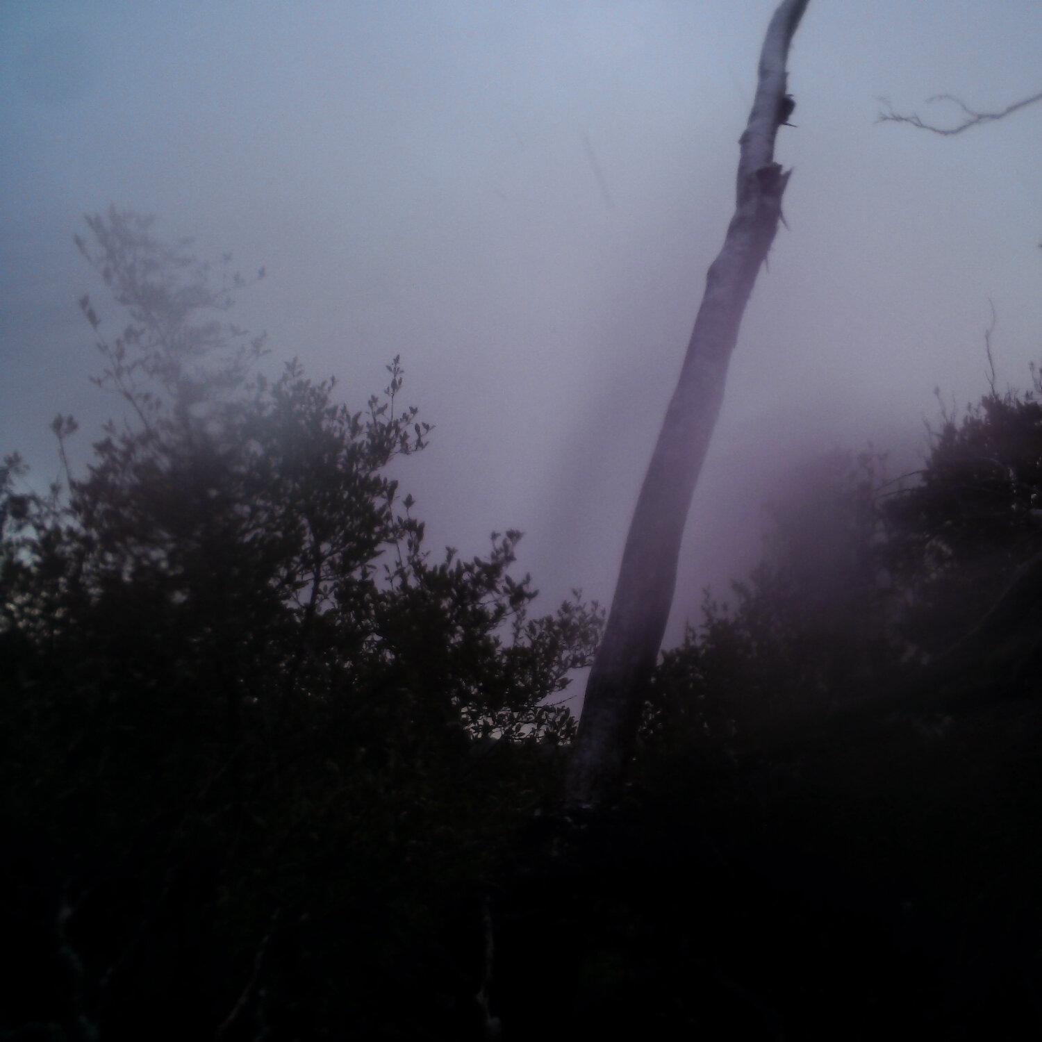 A photo captured from the webcam at the time the audio was recorded