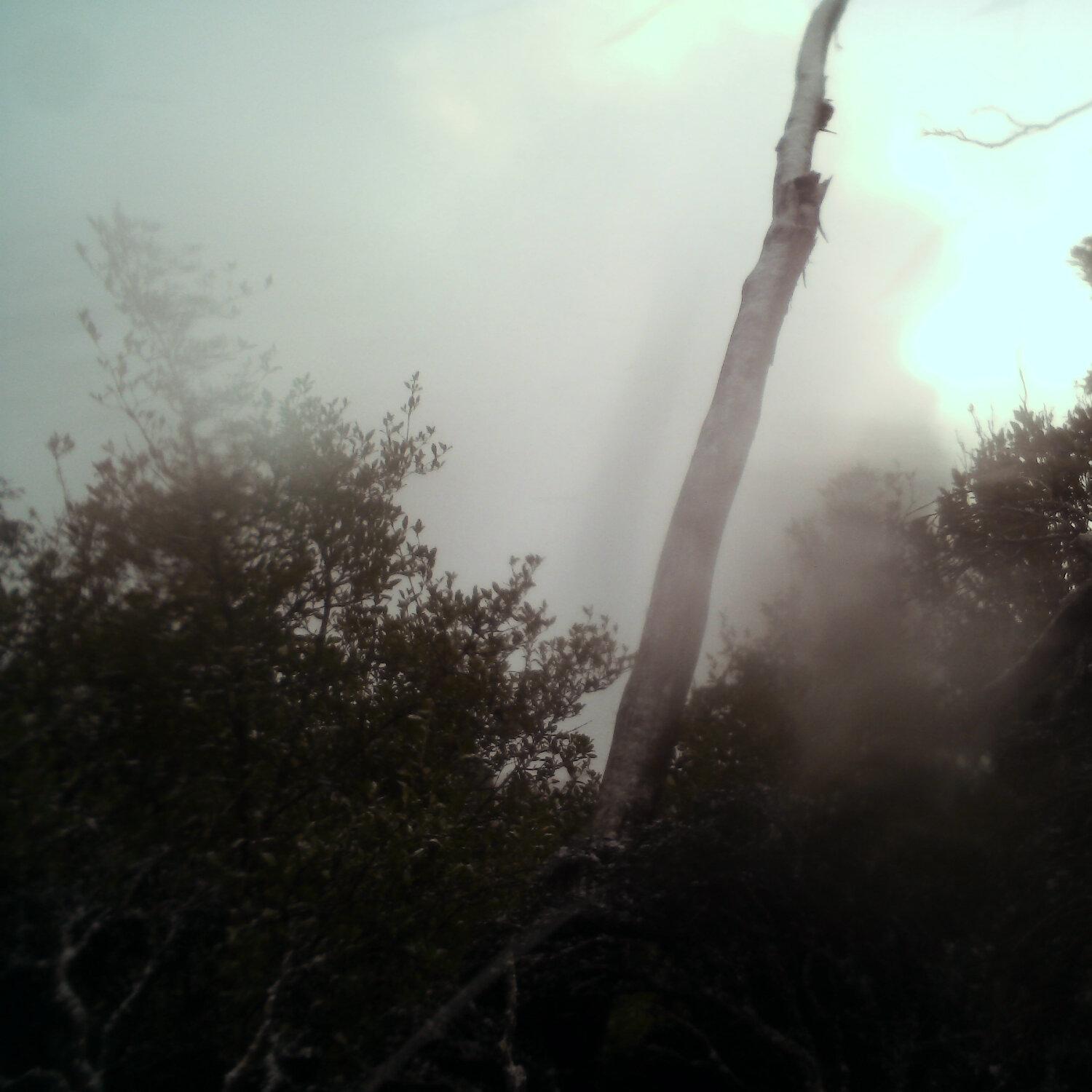 A photo captured from the webcam at the time the audio was recorded