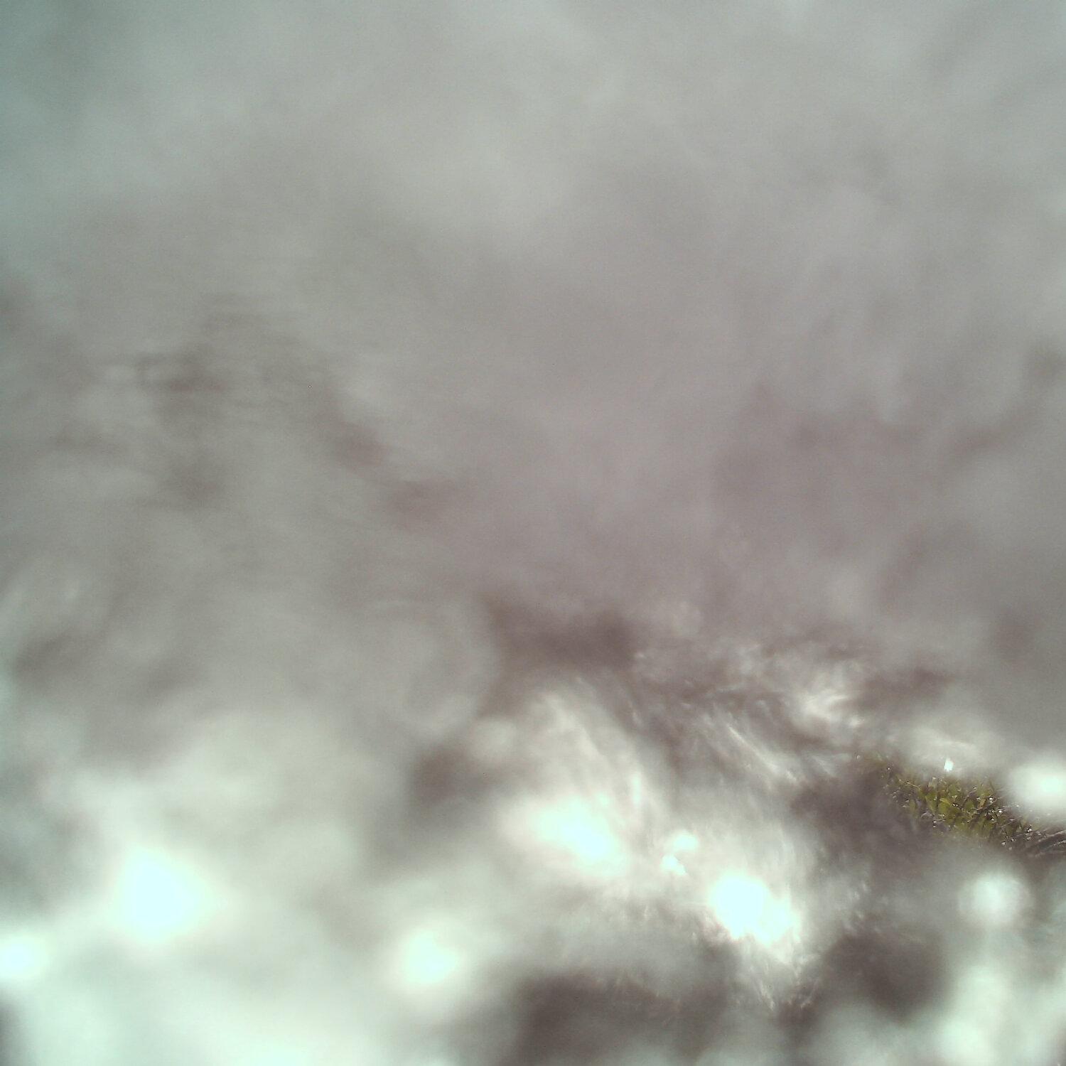 A photo captured from the webcam at the time the audio was recorded