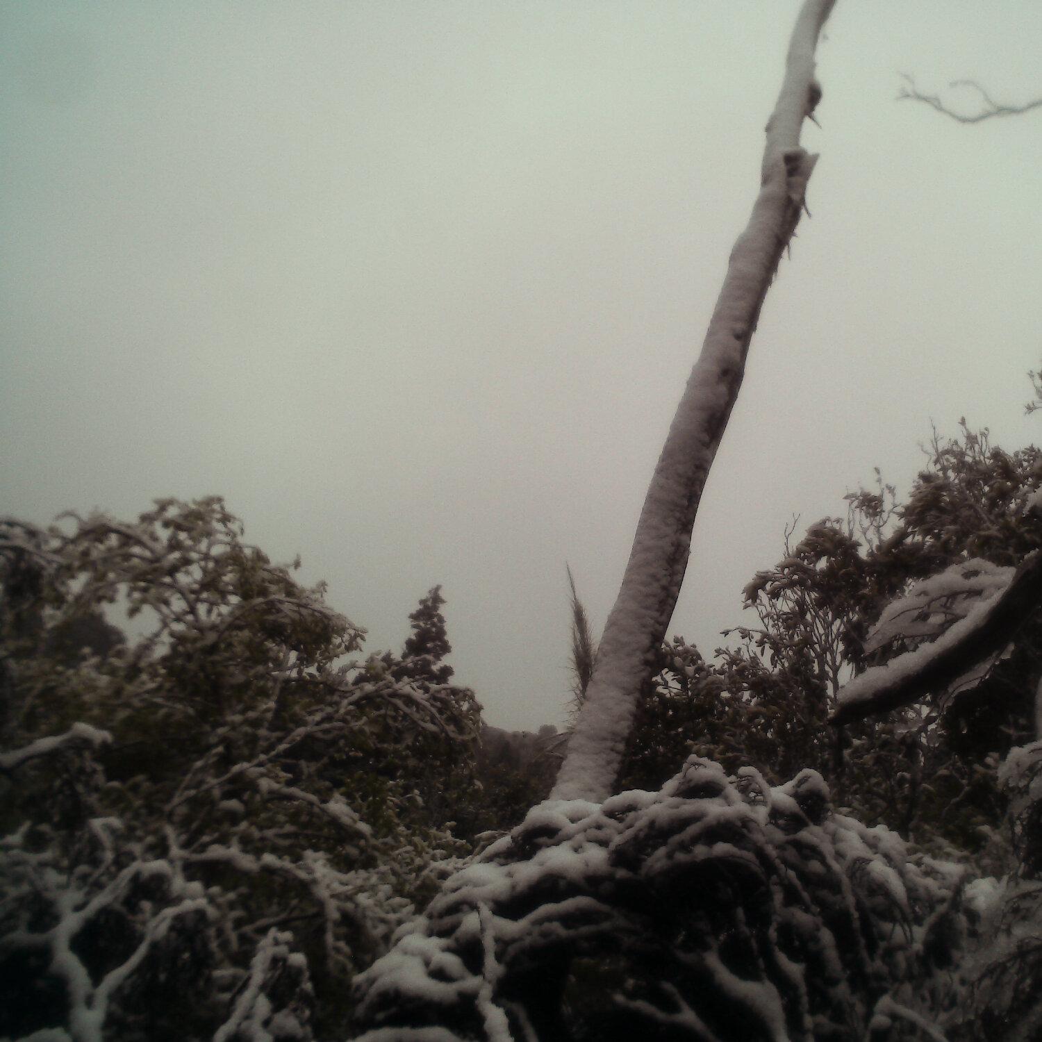 A photo captured from the webcam at the time the audio was recorded
