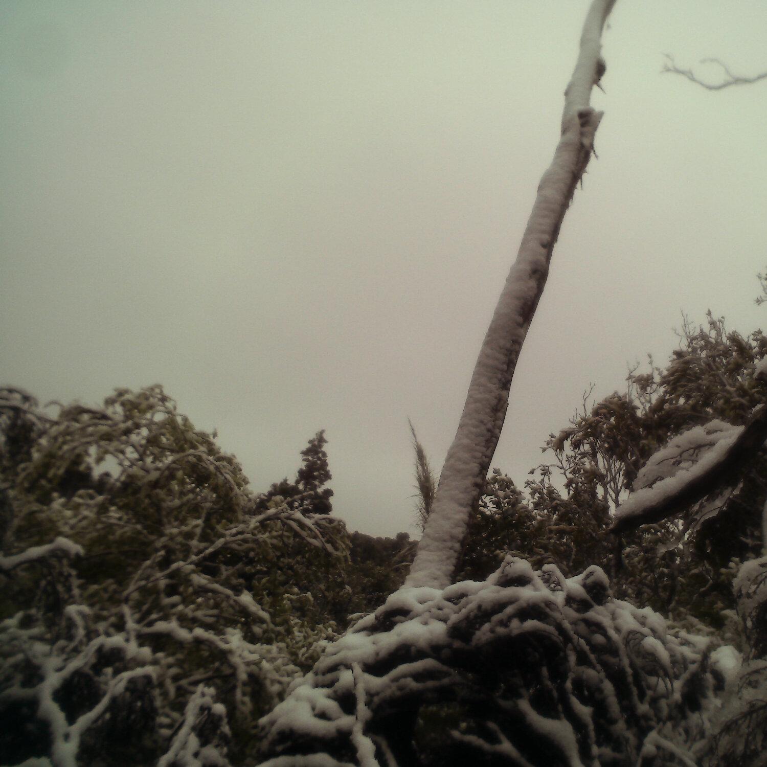 A photo captured from the webcam at the time the audio was recorded