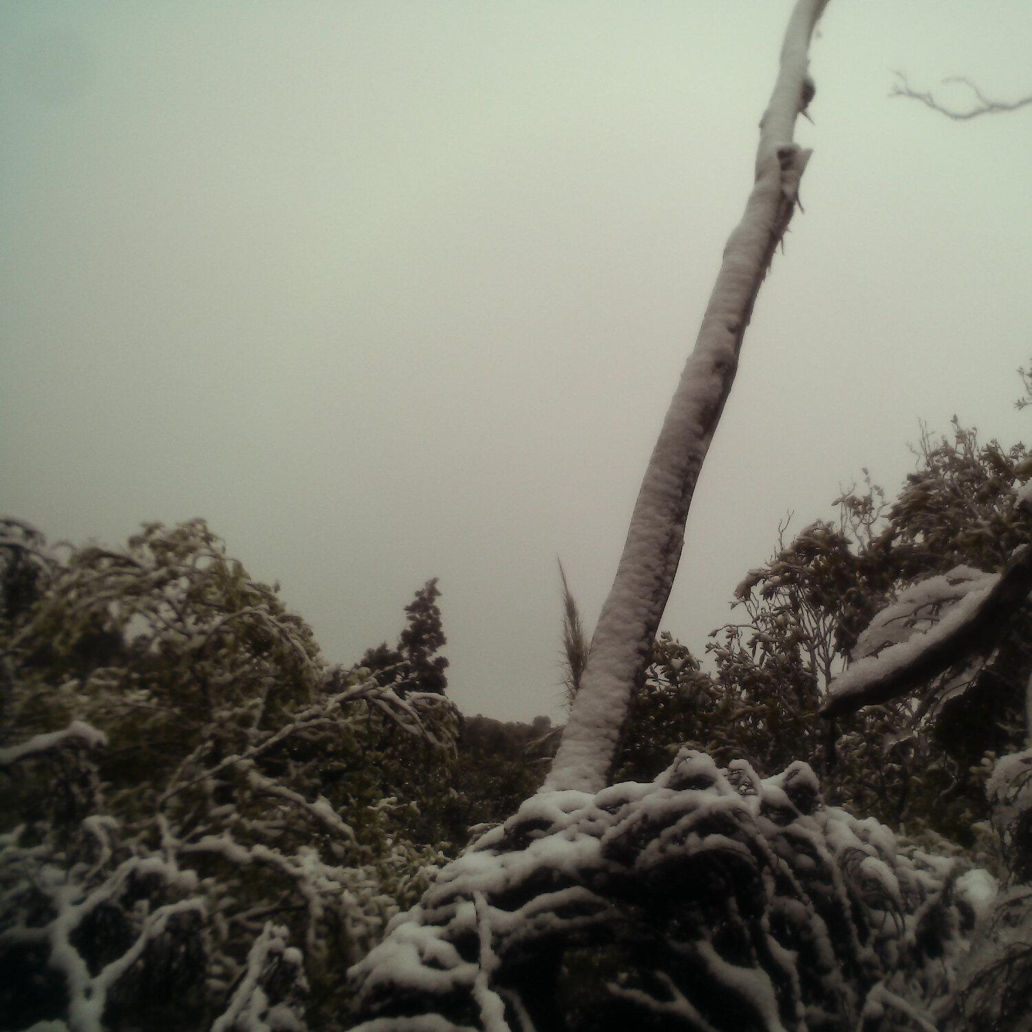 A photo captured from the webcam at the time the audio was recorded