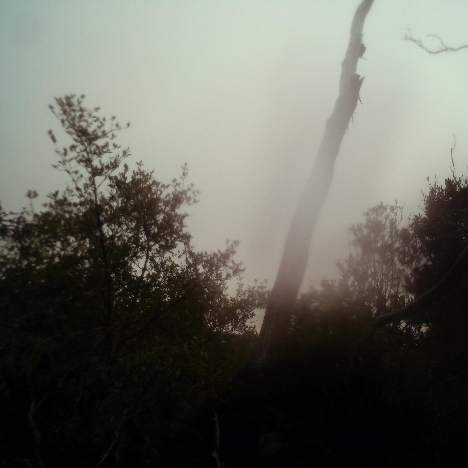 A photo captured from the webcam at the time the audio was recorded