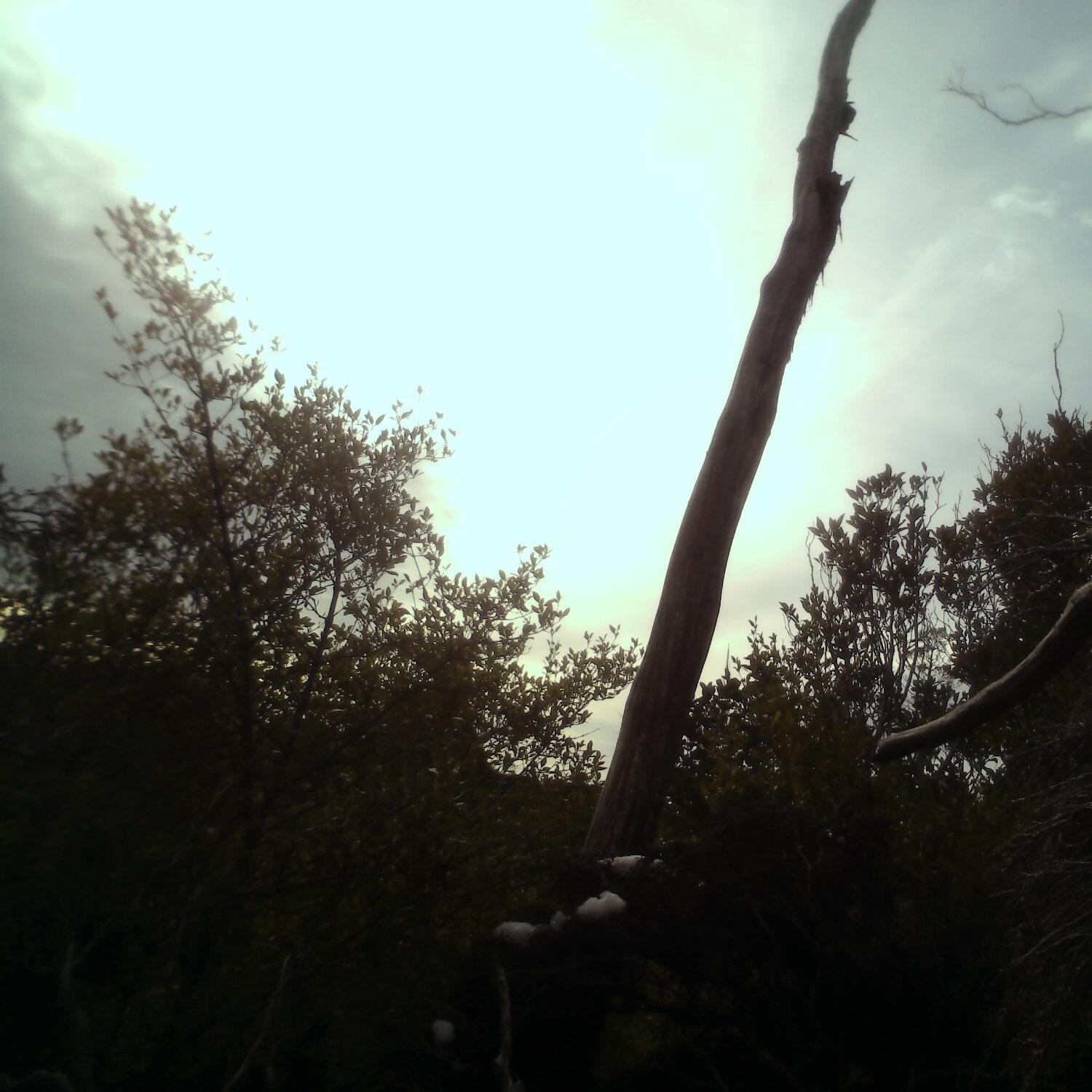 A photo captured from the webcam at the time the audio was recorded